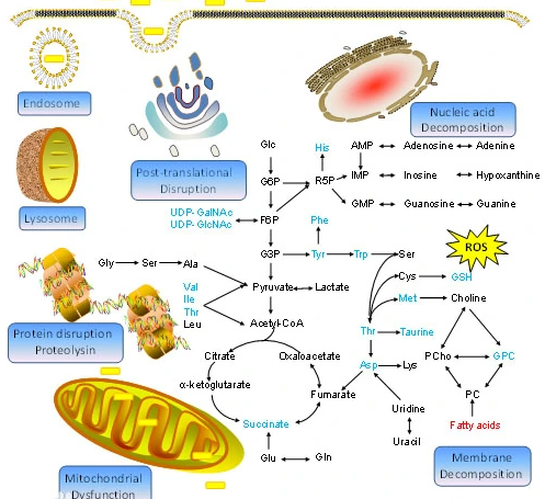 The advantages of nano-gold and its detection applications