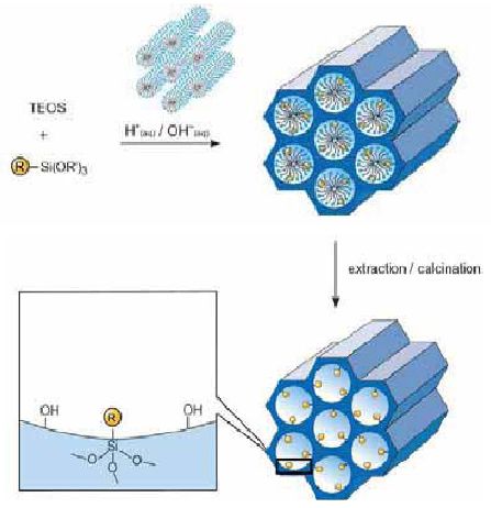 Modification and application of mesoporous silica materials